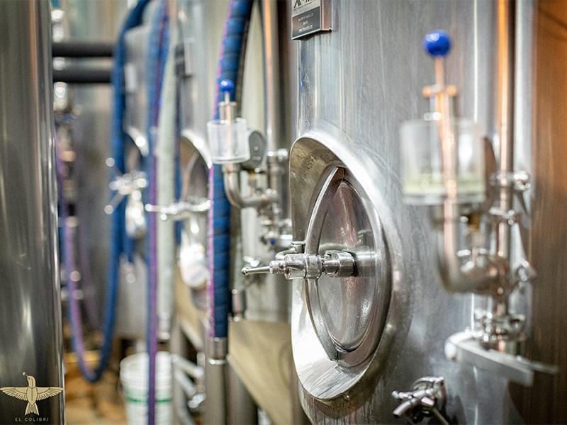 Learn how craft beer is made in Mexico